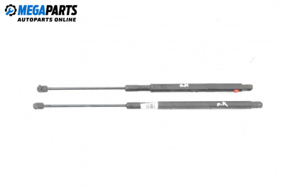 Tijă telescopică, capotă for Mercedes-Benz M-Class SUV (W164) (07.2005 - 12.2012)