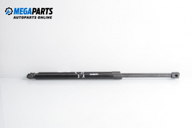 Tije telescopice, portbagaj for Mercedes-Benz M-Class SUV (W164) (07.2005 - 12.2012)