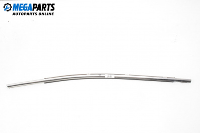 Exterior moulding for Hyundai Santa Fe III SUV (09.2012 - 12.2018), suv, position: left