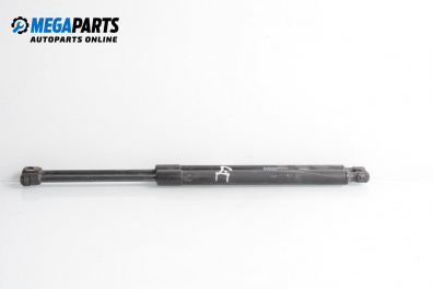 Tije telescopice, portbagaj for Hyundai Santa Fe III SUV (09.2012 - 12.2018)