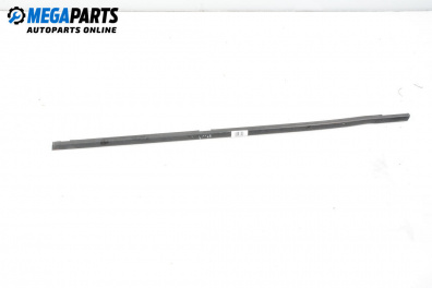 Exterior moulding for Renault Scenic II Minivan (06.2003 - 07.2010), minivan, position: left