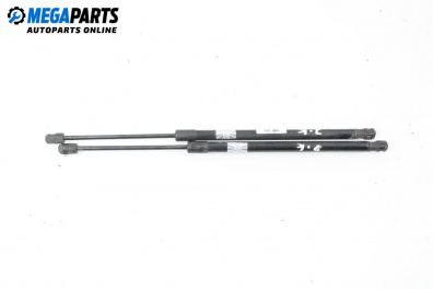 Stoßdämpfer heckklappe for Renault Scenic II Minivan (06.2003 - 07.2010)