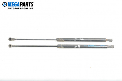 Stoßdämpfer heckklappe for Fiat Panda Hatchback II (09.2003 - 02.2012)