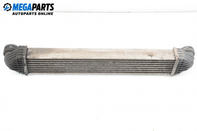 Zwischenkühler for Mercedes-Benz B-Class Hatchback I (03.2005 - 11.2011) B 180 CDI, 109 hp