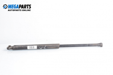 Tije telescopice, portbagaj for Citroen C5 II Hatchback (08.2004 - 01.2008)
