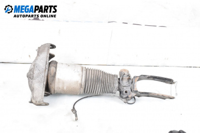 Amortizor pneumatic for Volkswagen Touareg SUV I (10.2002 - 01.2013), suv, position: dreaptă - fața