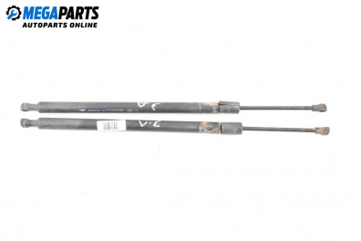 Stoßdämpfer heckklappe for Renault Modus / Grand Modus Minivan (09.2004 - 09.2012)