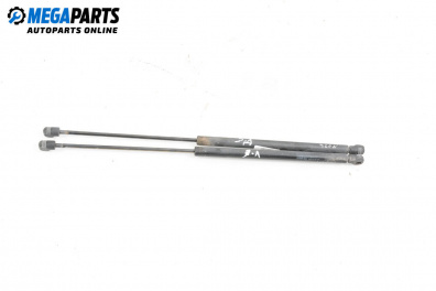 Stoßdämpfer heckklappe for Ford Focus II Estate (07.2004 - 09.2012)