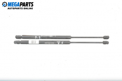 Stoßdämpfer heckklappe for Fiat Punto Hatchback II (09.1999 - 07.2012)
