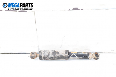 Shock absorber for Fiat Punto Hatchback II (09.1999 - 07.2012), hatchback, position: rear - left