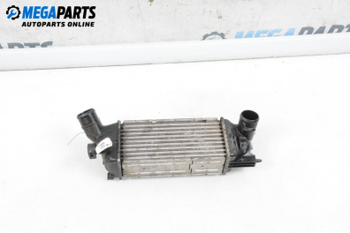 Intercooler for Peugeot 407 Sedan (02.2004 - 12.2011) 2.0 HDi 135, 136 hp