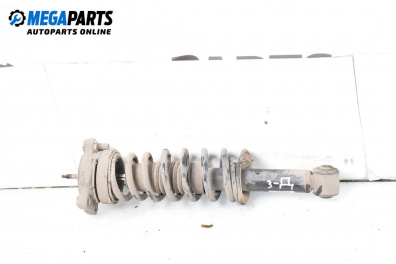 MacPherson-federbein for Alfa Romeo 159 Sportwagon (03.2006 - 11.2011), combi, position: rechts, rückseite