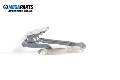 Balama portbagaj for Seat Toledo II Sedan (10.1998 - 05.2006), 5 uși, sedan, position: stânga