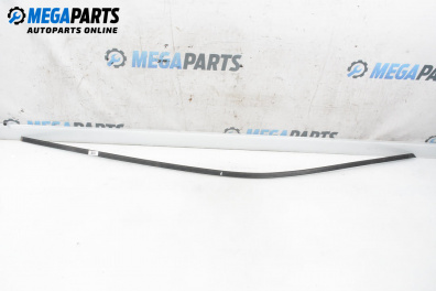 Headliner moulding for Peugeot 206 Hatchback (08.1998 - 12.2012), hatchback, position: left
