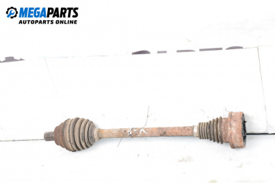 Shock absorber for Volkswagen Golf V Hatchback (10.2003 - 02.2009), hatchback, position: rear - left