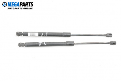 Tije telescopice, portbagaj for Hyundai Santa Fe II SUV (10.2005 - 12.2012)