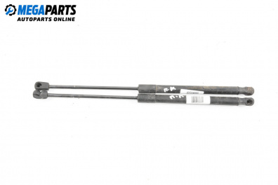 Tije telescopice, portbagaj for Hyundai Santa Fe II SUV (10.2005 - 12.2012)