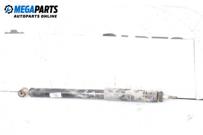 Amortizor for Mercedes-Benz CLK-Class Coupe (C209) (06.2002 - 05.2009), coupe, position: dreaptă - spate
