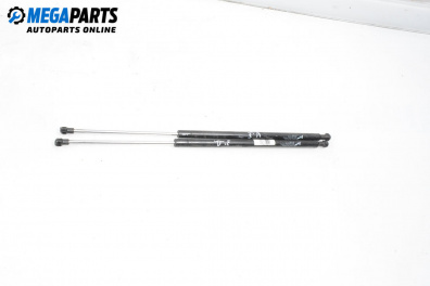 Stoßdämpfer heckklappe for Renault Scenic I Minivan (09.1999 - 07.2010)
