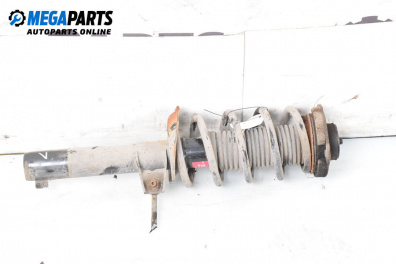 Amortizor McPherson for Volkswagen Passat V Variant B6 (08.2005 - 11.2011), combi, position: stânga - fața
