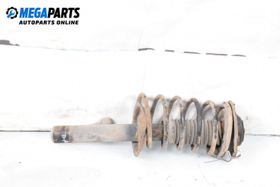 MacPherson-federbein for Citroen Xsara Coupe (01.1998 - 04.2005), coupe, position: rechts, vorderseite