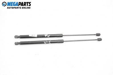 Stoßdämpfer heckklappe for Mercedes-Benz B-Class Hatchback I (03.2005 - 11.2011)