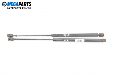 Tije telescopice, portbagaj for Mini Hatchback I (R50, R53) (06.2001 - 09.2006)