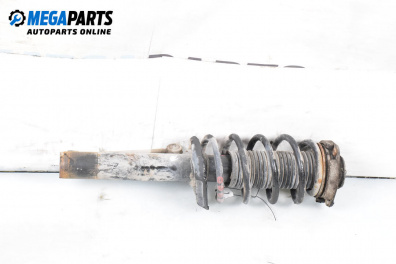MacPherson-federbein for Audi A3 Hatchback II (05.2003 - 08.2012), hecktür, position: links, vorderseite
