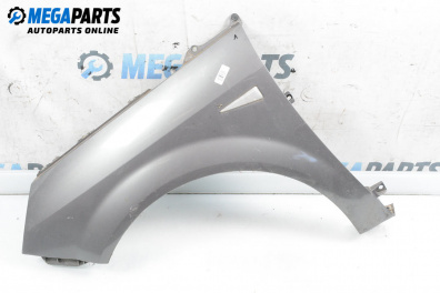 Fender for Renault Scenic II Minivan (06.2003 - 07.2010), 5 doors, minivan, position: front - left