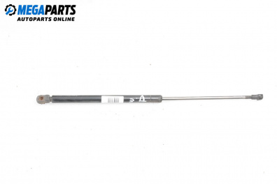 Tije telescopice, portbagaj for Volkswagen Passat III Variant B5 (05.1997 - 12.2001)
