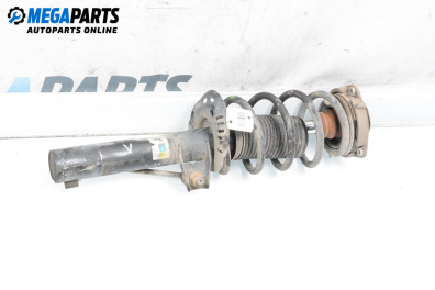 MacPherson-federbein for Volkswagen Passat V Sedan B6 (03.2005 - 12.2010), sedan, position: links, vorderseite