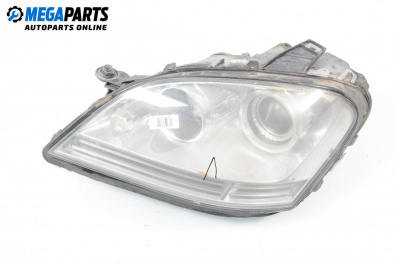 Headlight for Mercedes-Benz M-Class SUV (W164) (07.2005 - 12.2012), suv, position: left