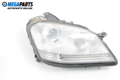 Far for Mercedes-Benz M-Class SUV (W164) (07.2005 - 12.2012), suv, position: dreapta
