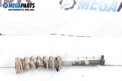 Macpherson shock absorber for Audi A4 Sedan B5 (11.1994 - 09.2001), sedan, position: rear - right