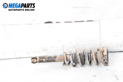 MacPherson-federbein for Nissan Primera Sedan III (01.2002 - 06.2007), sedan, position: links, rückseite