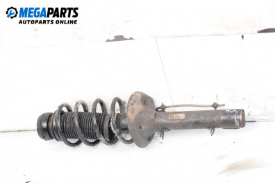 MacPherson-federbein for Audi A3 Hatchback I (09.1996 - 05.2003), hecktür, position: links, vorderseite
