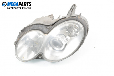 Far for Mercedes-Benz CLK-Class Coupe (C209) (06.2002 - 05.2009), coupe, position: dreapta