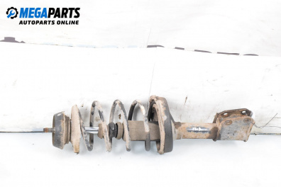 Macpherson shock absorber for Renault Clio II Hatchback (09.1998 - 09.2005), hatchback, position: front - left