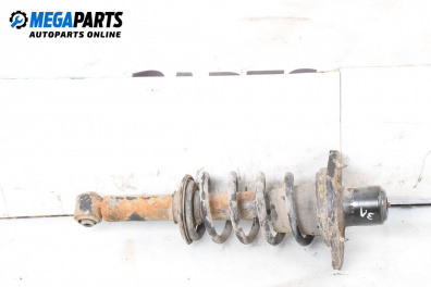 Amortizor McPherson for Volkswagen Passat IV Variant B5.5 (09.2000 - 08.2005), combi, position: stânga - spate