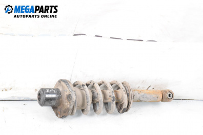 Amortizor McPherson for Volkswagen Passat IV Variant B5.5 (09.2000 - 08.2005), combi, position: dreaptă - spate