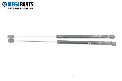 Tije telescopice, portbagaj for Volkswagen Golf IV Hatchback (08.1997 - 06.2005)