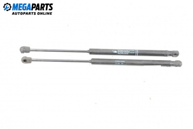 Stoßdämpfer heckklappe for Citroen C3 Hatchback I (02.2002 - 11.2009)