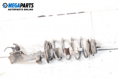 MacPherson-federbein for Fiat Panda Hatchback II (09.2003 - 02.2012), hecktür, position: rechts, vorderseite