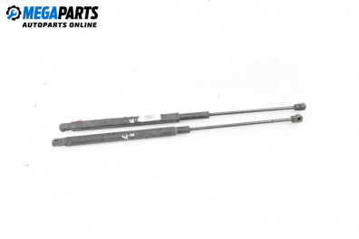 Motorhaubedämpfer for Mercedes-Benz M-Class SUV (W164) (07.2005 - 12.2012)
