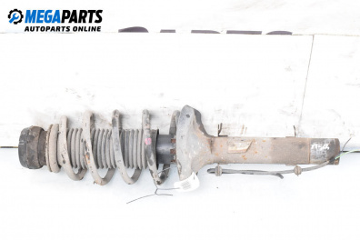 Macpherson shock absorber for Volkswagen Golf IV Hatchback (08.1997 - 06.2005), hatchback, position: front - right
