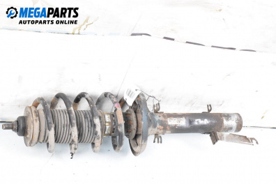 Macpherson shock absorber for Volkswagen Golf IV Hatchback (08.1997 - 06.2005), hatchback, position: front - left