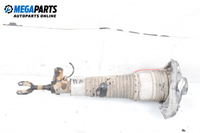 Luft-stoßdämpfer for Audi A6 Avant C6 (03.2005 - 08.2011), combi, position: links, vorderseite