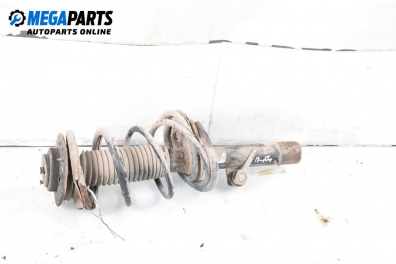 MacPherson-federbein for Citroen Xsara Picasso (09.1999 - 06.2012), minivan, position: rechts, vorderseite
