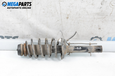MacPherson-federbein for Volkswagen Bora Sedan (10.1998 - 12.2013), sedan, position: links, vorderseite