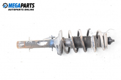 Macpherson shock absorber for Audi A3 Hatchback I (09.1996 - 05.2003), hatchback, position: front - right